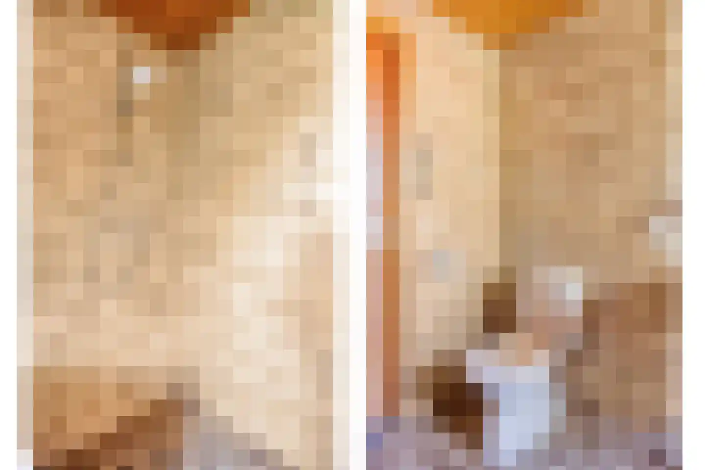 Hogeweg 10 Duiven thumbnail 43