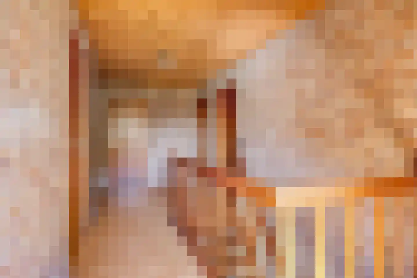 Hogeweg 10 Duiven thumbnail 45
