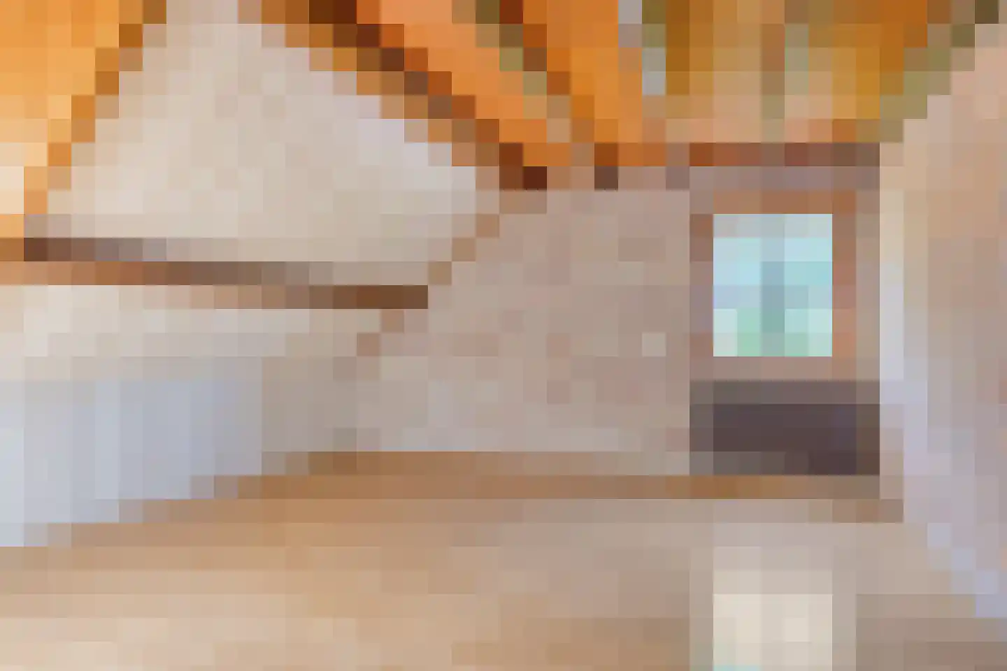 Hogeweg 10 Duiven thumbnail 54