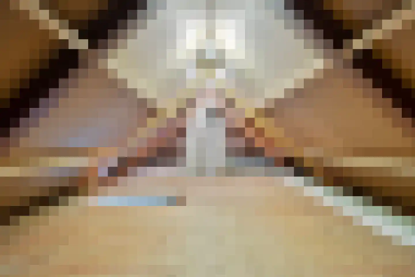 Hogeweg 10 Duiven thumbnail 58