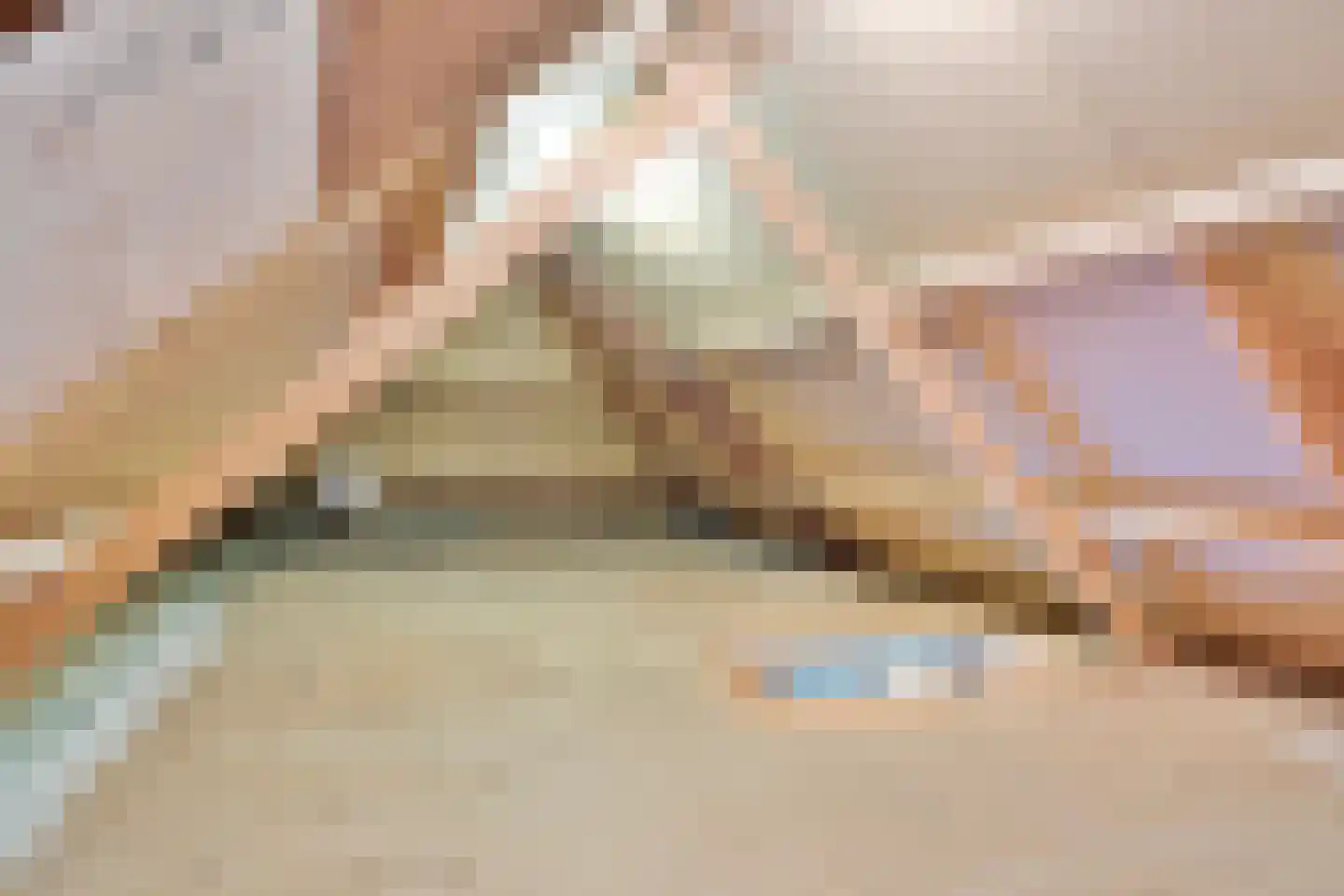 Hogeweg 10 Duiven thumbnail 59