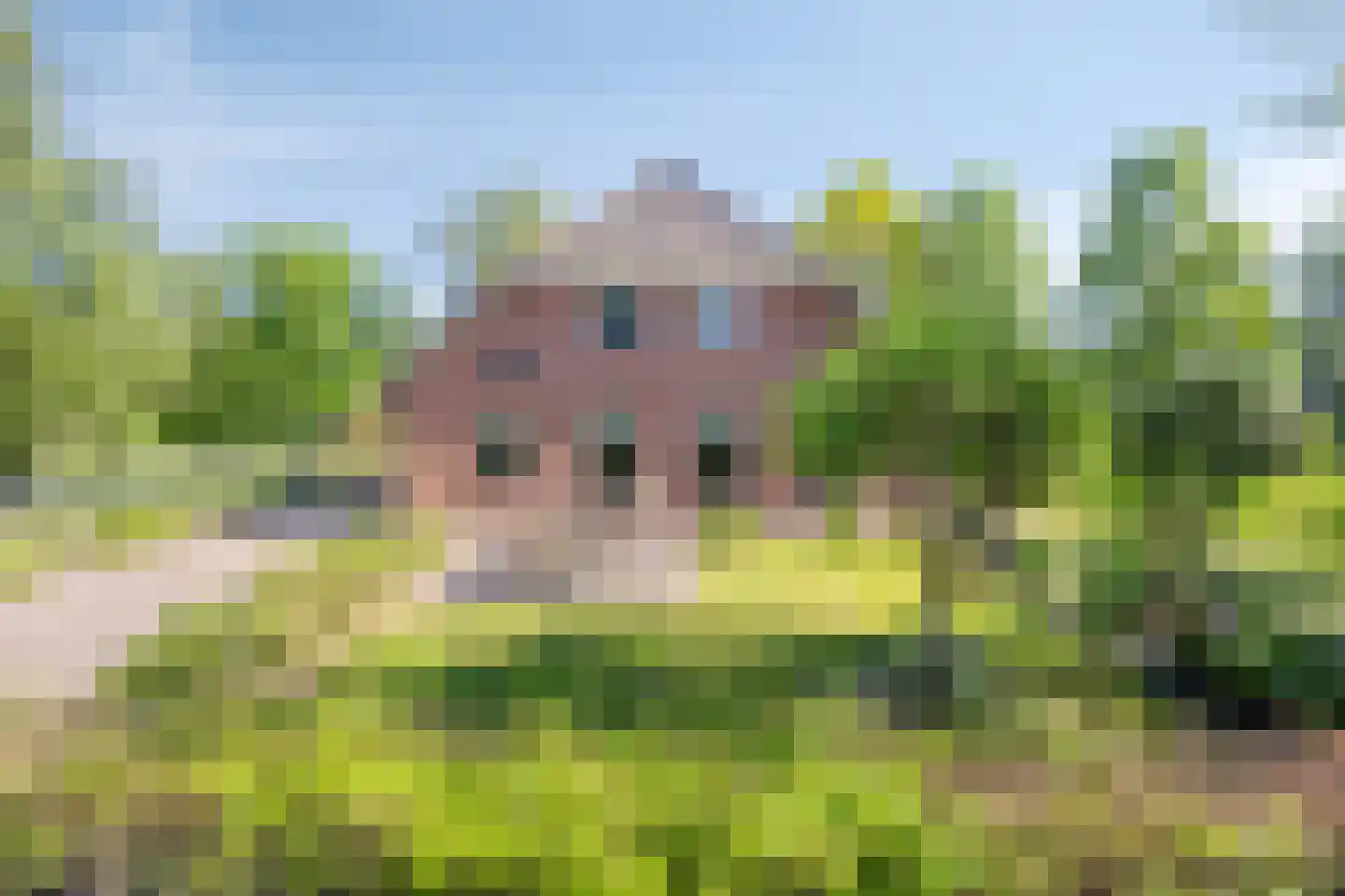 Hogeweg 10 Duiven thumbnail 60