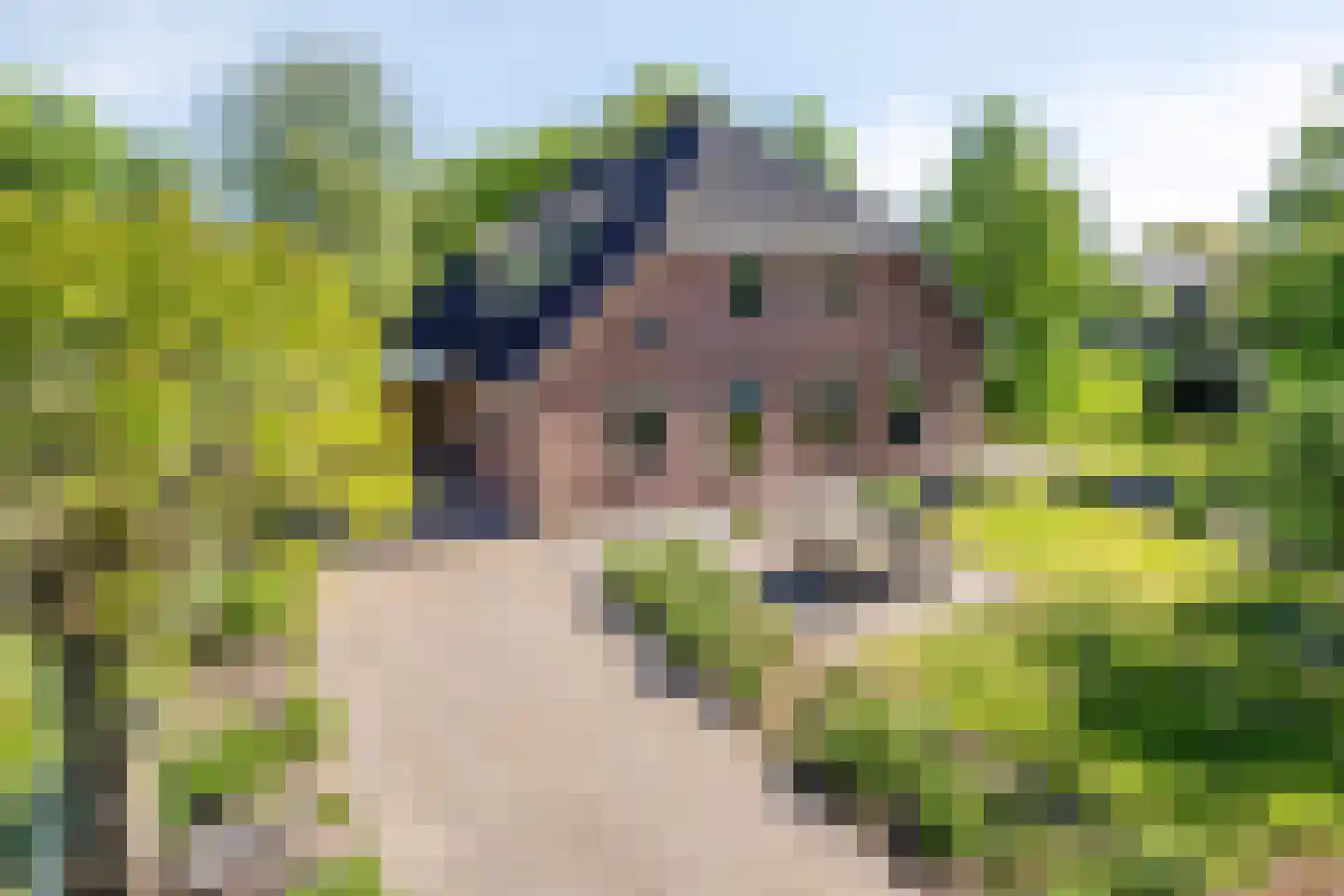 Hogeweg 10 Duiven thumbnail 62