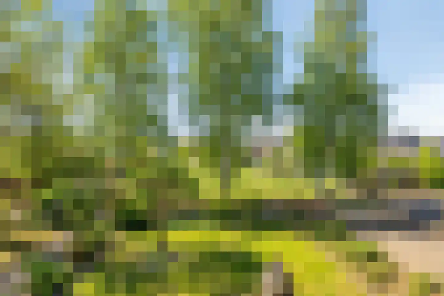 Hogeweg 10 Duiven thumbnail 63