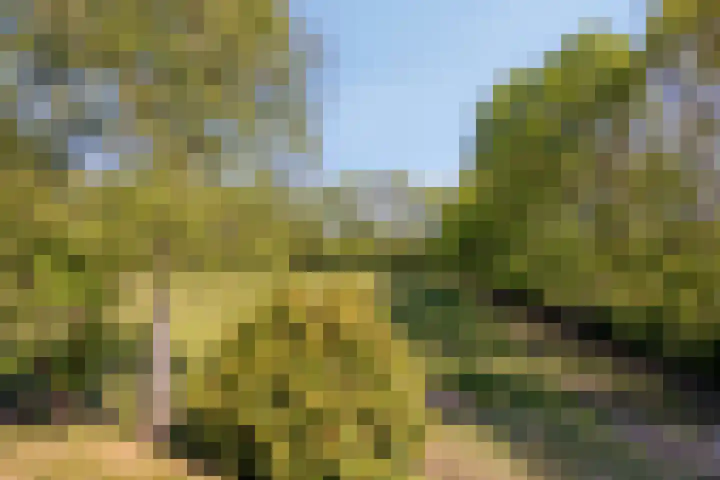 Hogeweg 10 Duiven thumbnail 64