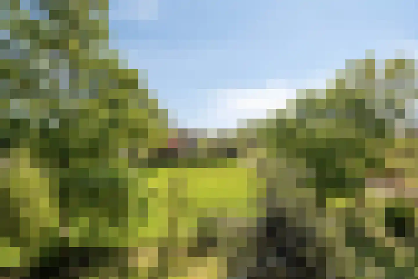 Hogeweg 10 Duiven thumbnail 65