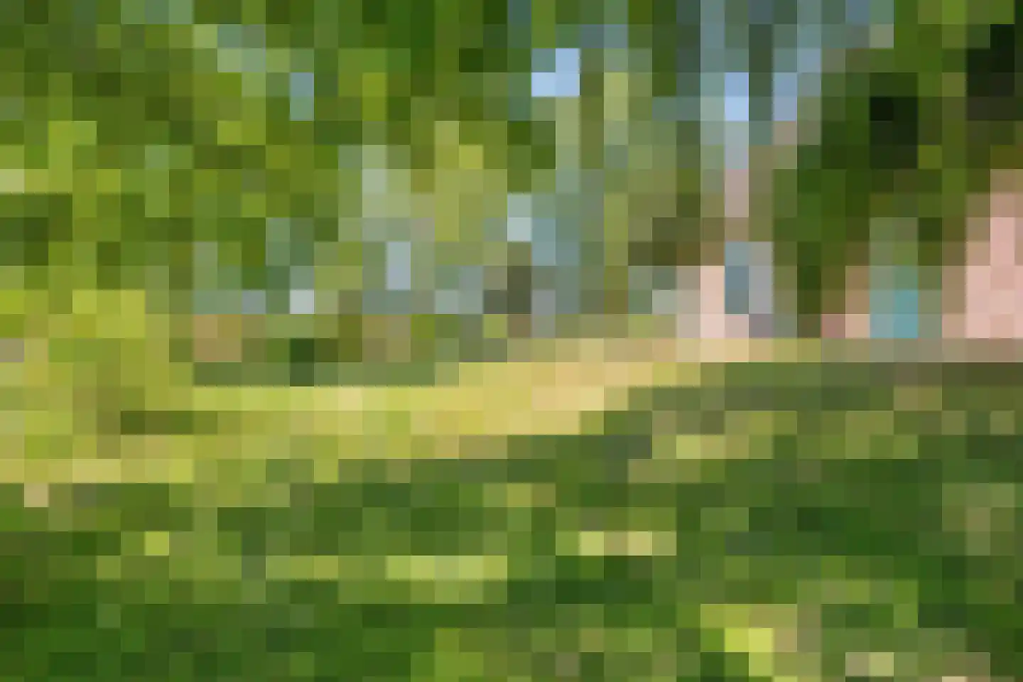 Hogeweg 10 Duiven thumbnail 67