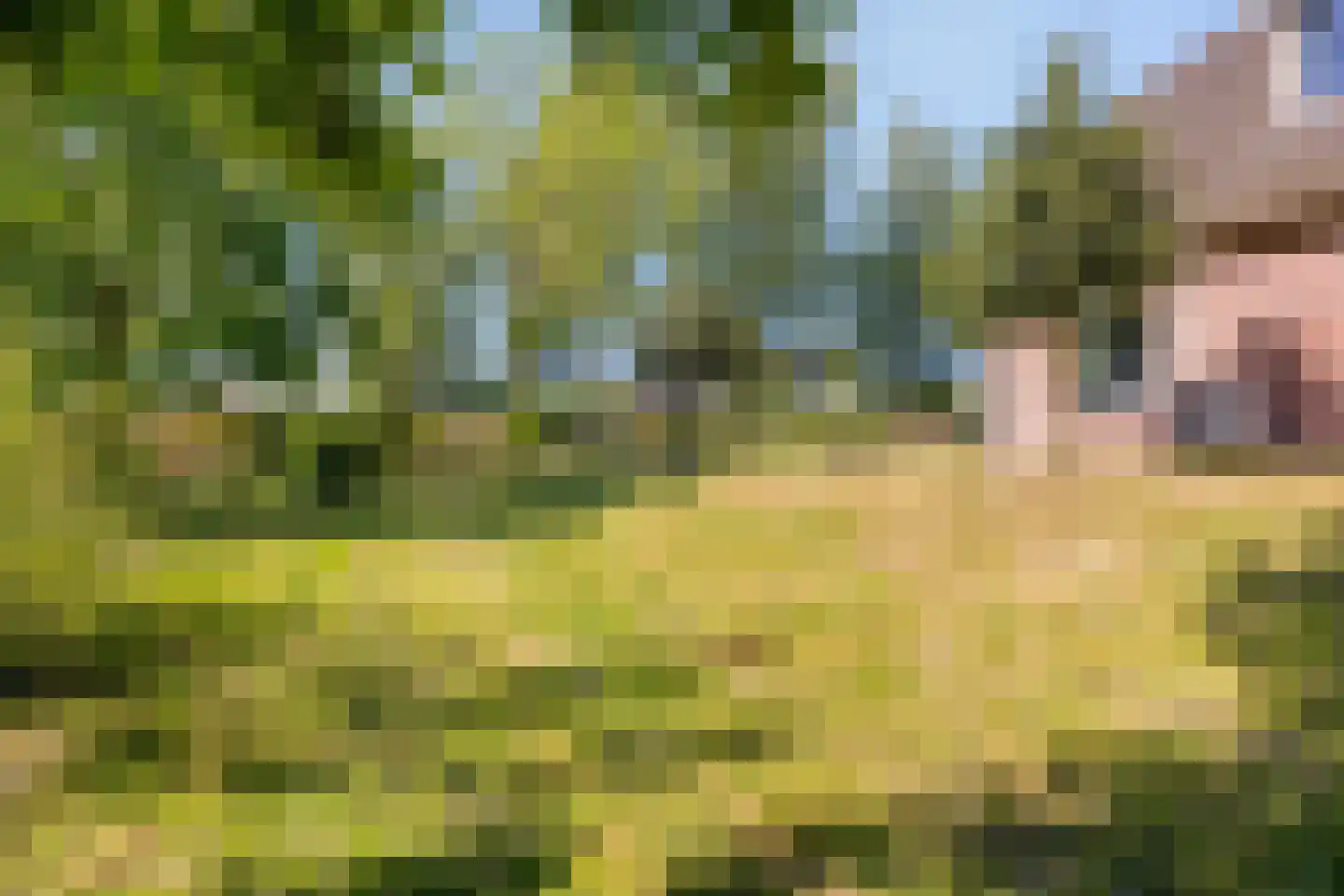 Hogeweg 10 Duiven thumbnail 68