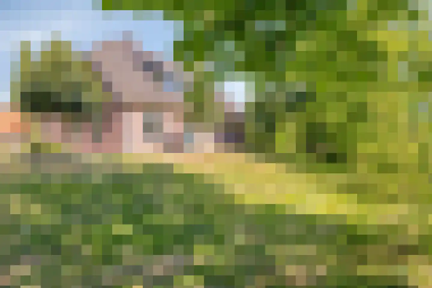Hogeweg 10 Duiven thumbnail 69