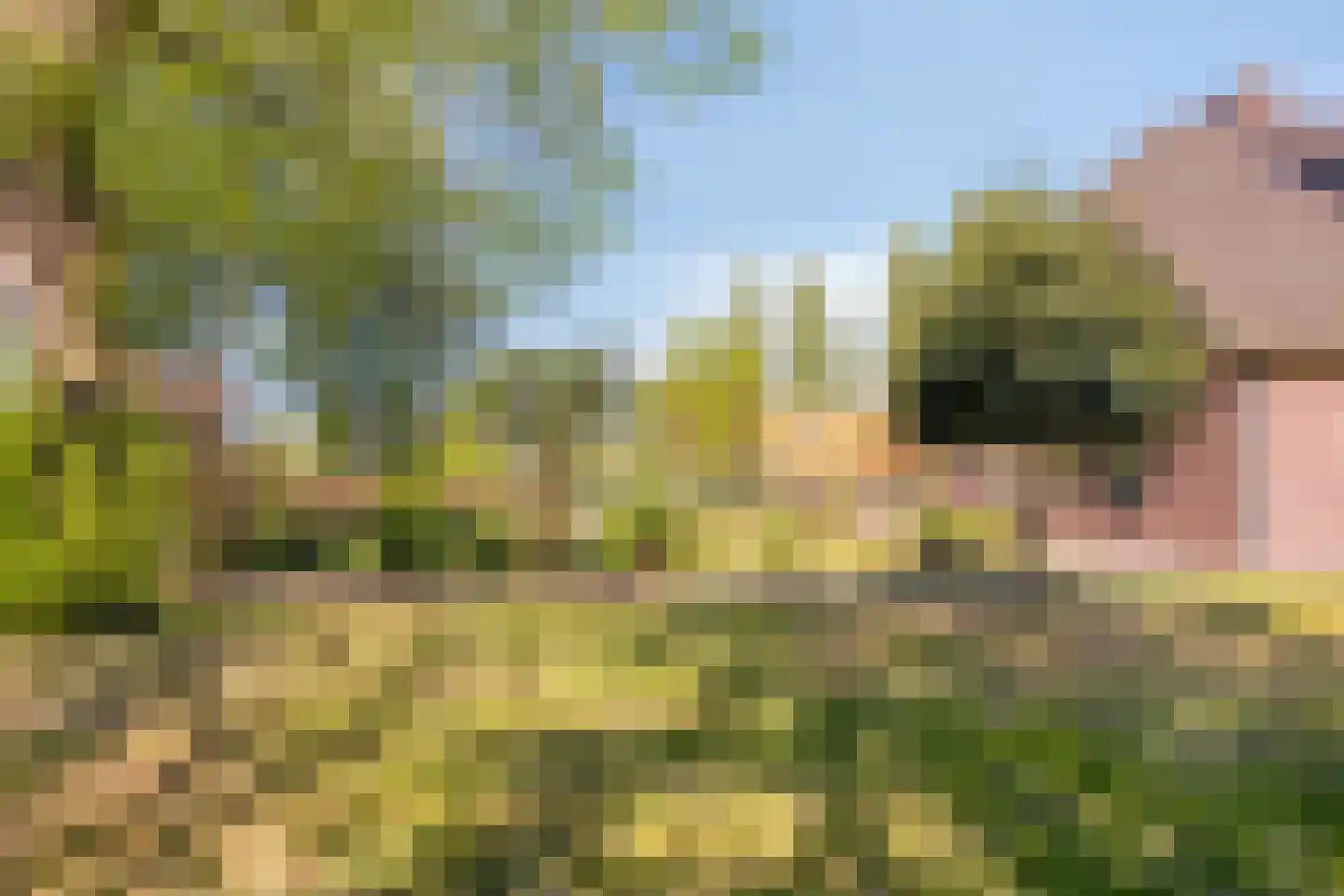 Hogeweg 10 Duiven thumbnail 70
