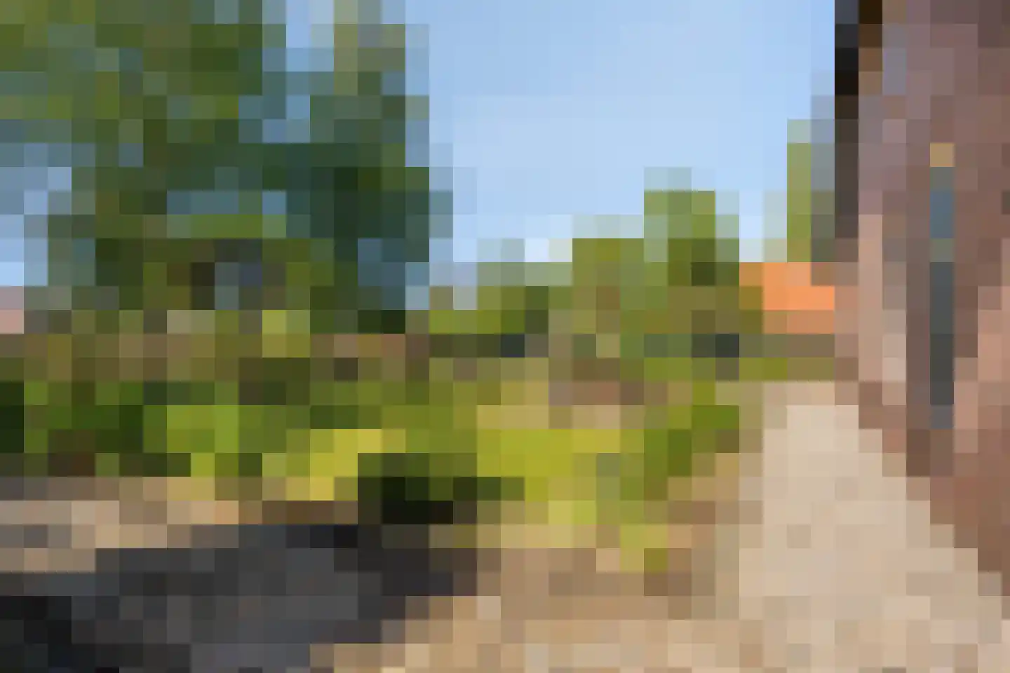 Hogeweg 10 Duiven thumbnail 71