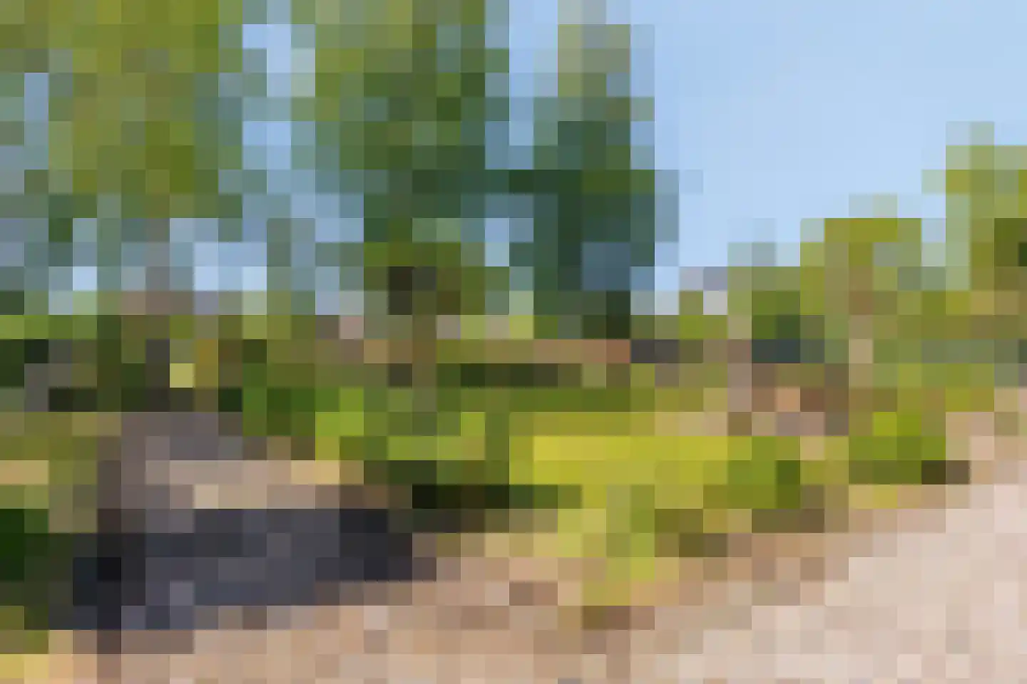 Hogeweg 10 Duiven thumbnail 72