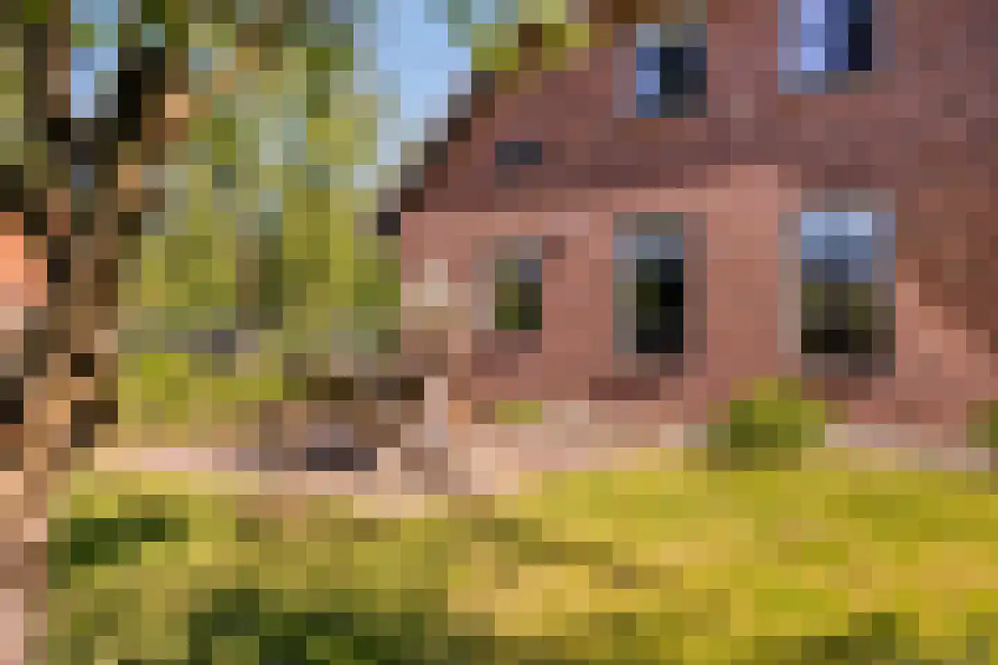 Hogeweg 10 Duiven thumbnail 73
