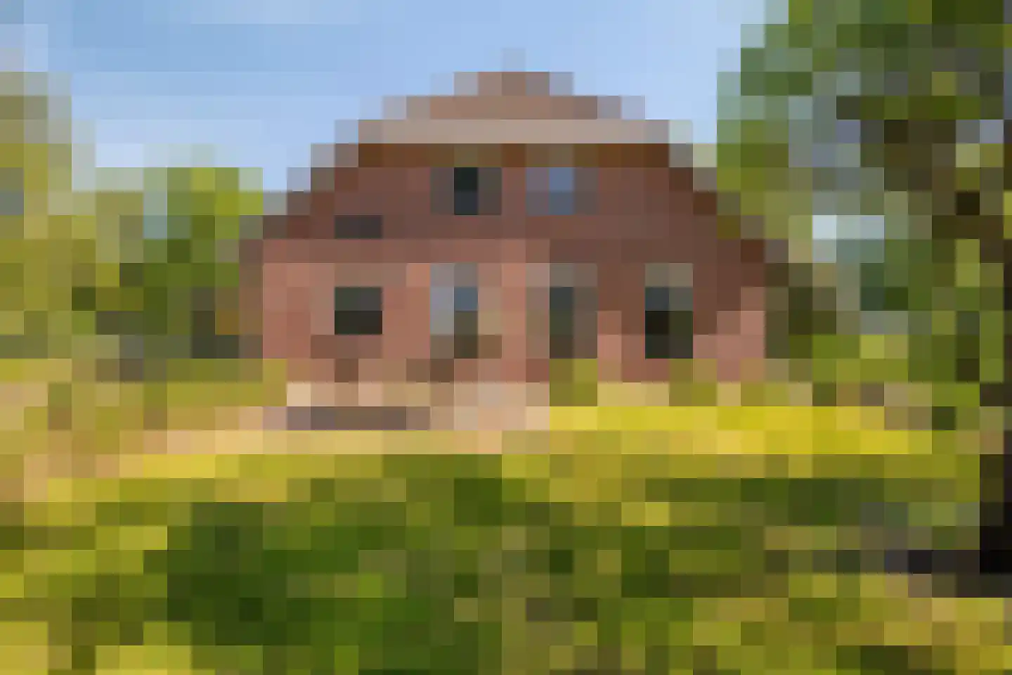 Hogeweg 10 Duiven thumbnail 74