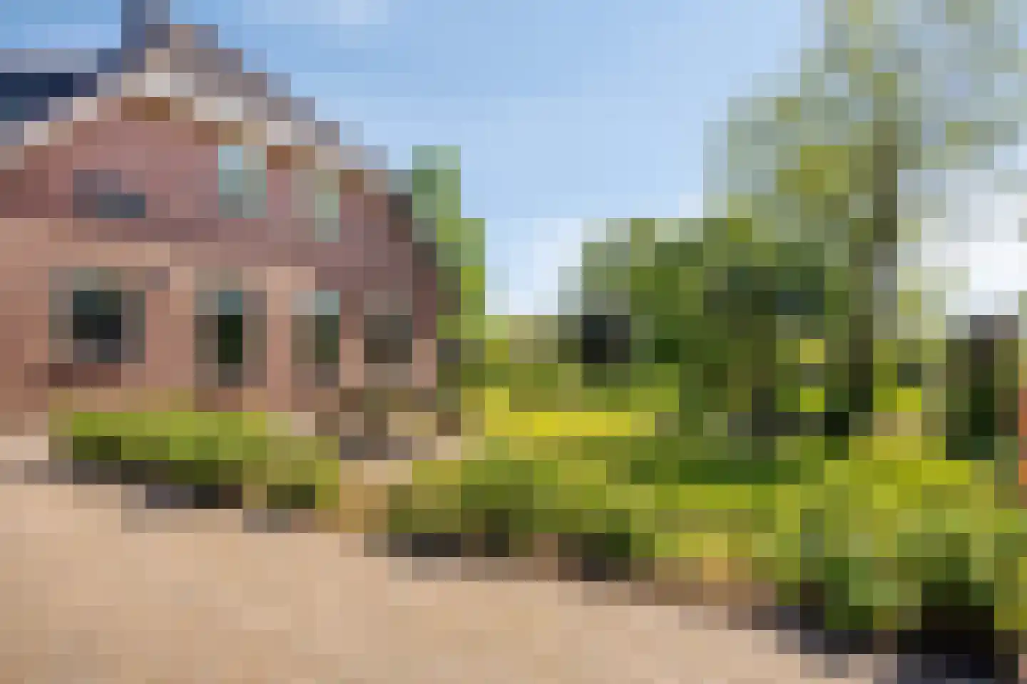 Hogeweg 10 Duiven thumbnail 75