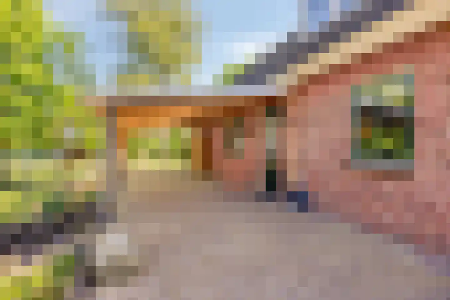 Hogeweg 10 Duiven thumbnail 76