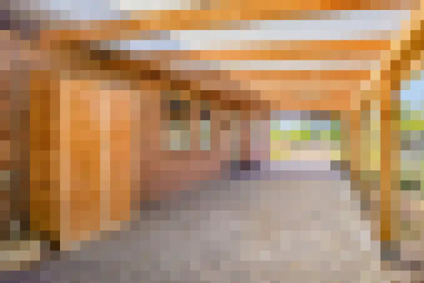 Hogeweg 10 Duiven thumbnail 77