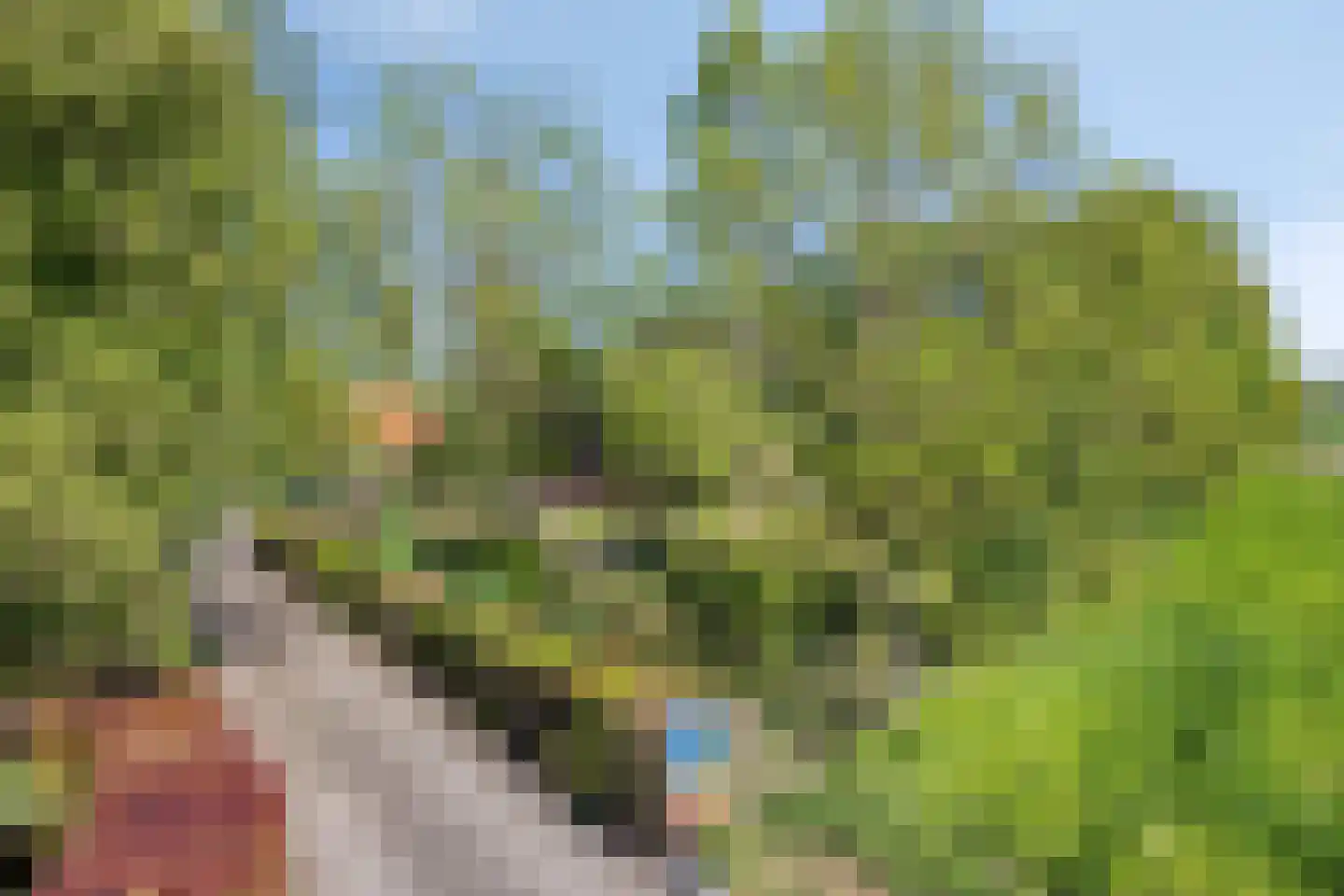 Hogeweg 10 Duiven thumbnail 82