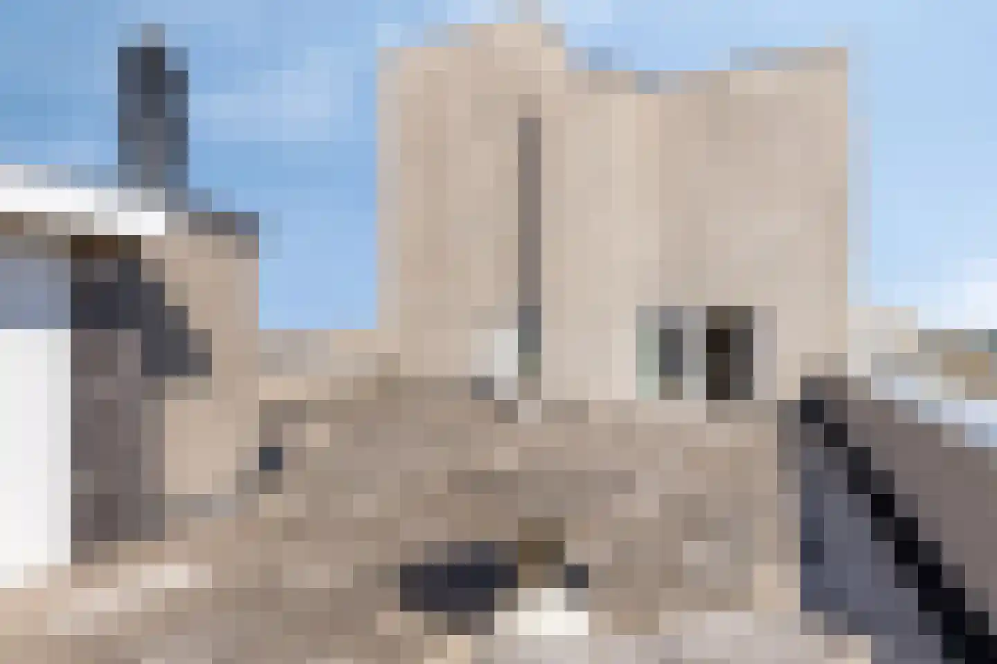 Hogeweg 104 Zandvoort thumbnail 26