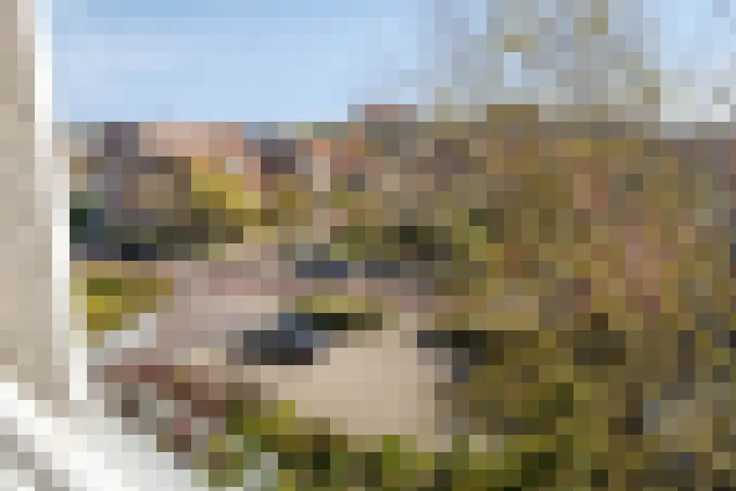 Hogeweg 104 Zandvoort thumbnail 29