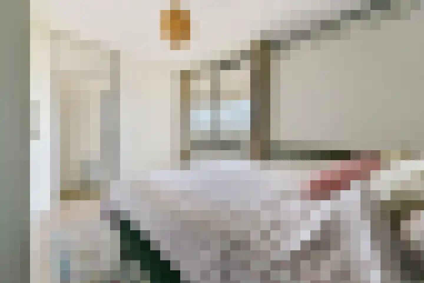 Hogeweg 11 B Amersfoort thumbnail 21