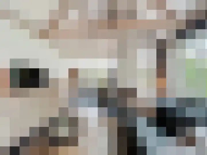Hogeweg 11 Hoofdplaat thumbnail 14