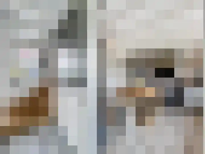 Hogeweg 11 Hoofdplaat thumbnail 16