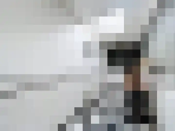 Hogeweg 11 Hoofdplaat thumbnail 20