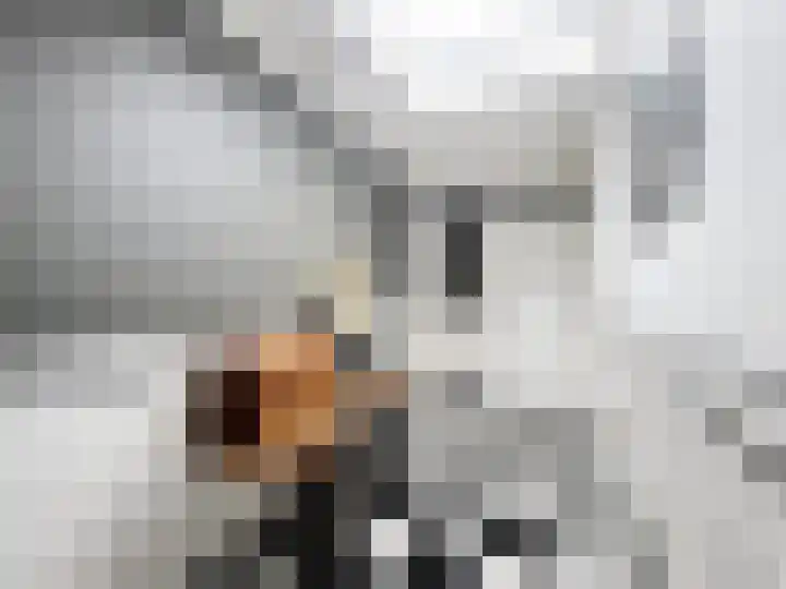 Hogeweg 11 Hoofdplaat thumbnail 21