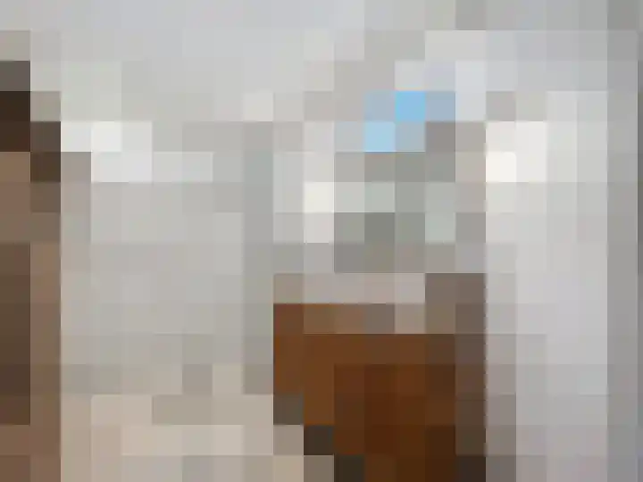 Hogeweg 11 Hoofdplaat thumbnail 22
