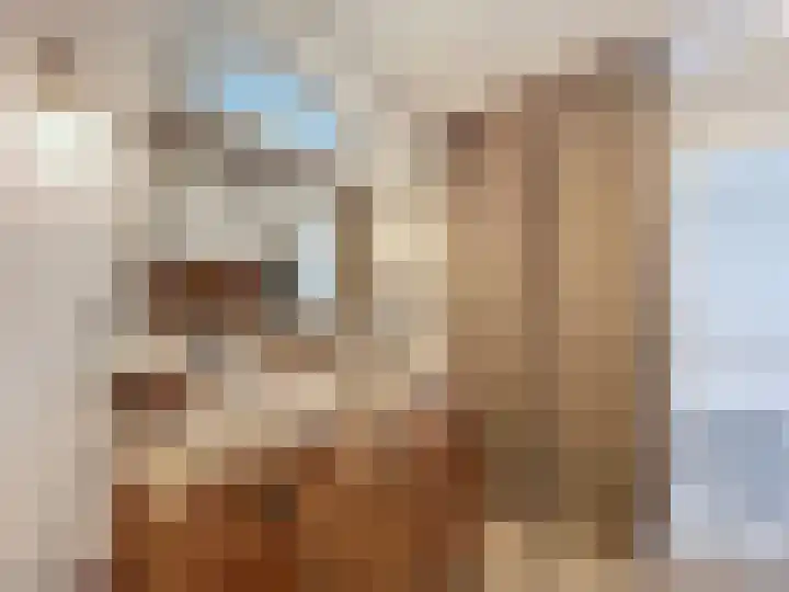 Hogeweg 11 Hoofdplaat thumbnail 23