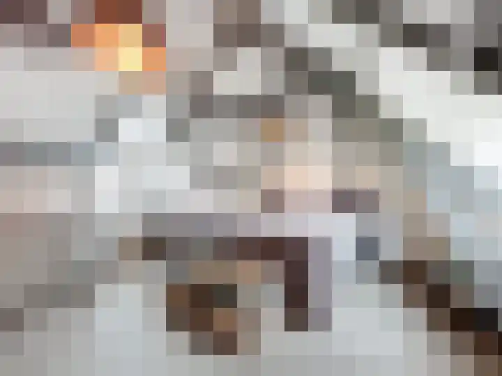 Hogeweg 11 Hoofdplaat thumbnail 26