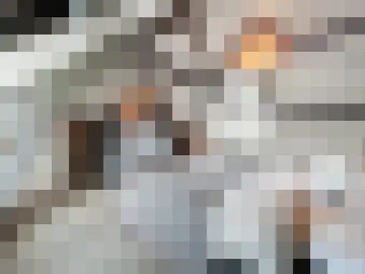 Hogeweg 11 Hoofdplaat thumbnail 28