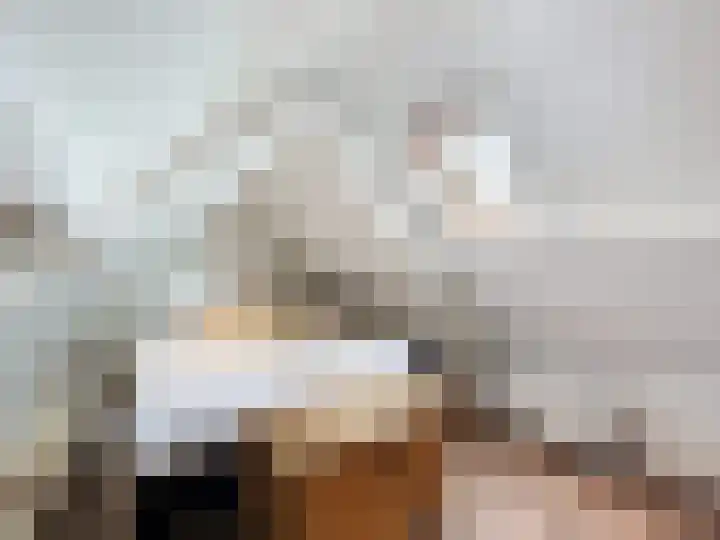 Hogeweg 11 Hoofdplaat thumbnail 29