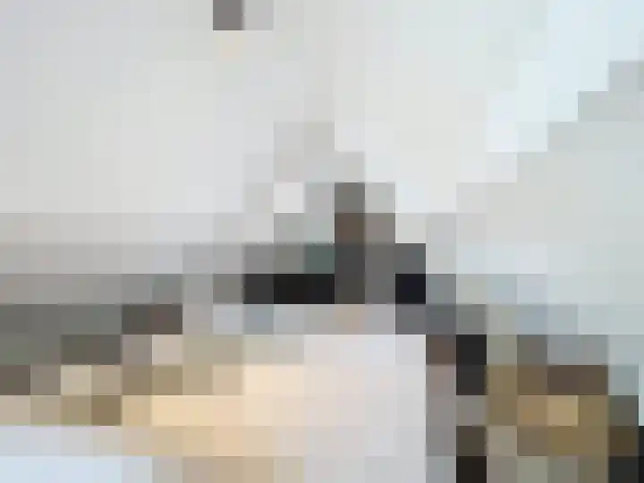 Hogeweg 11 Hoofdplaat thumbnail 31