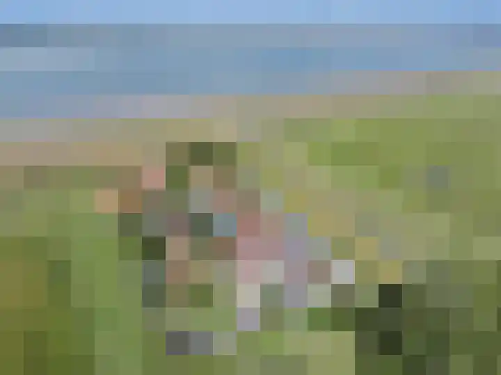 Hogeweg 11 Hoofdplaat thumbnail 38