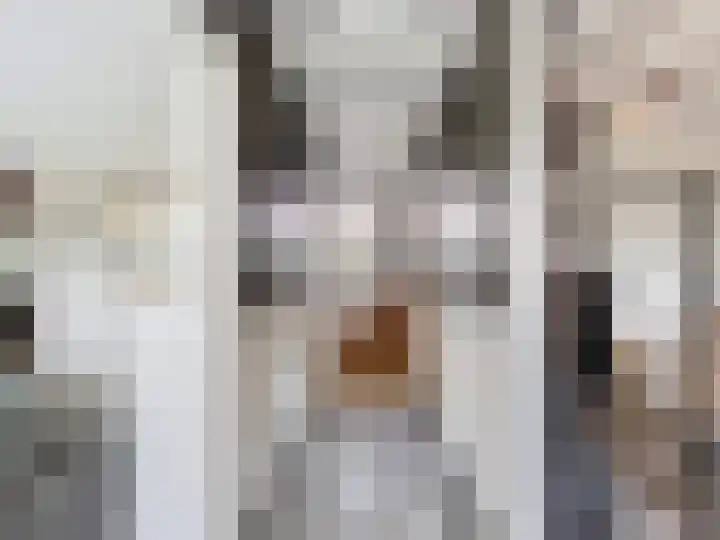Hogeweg 11 Hoofdplaat thumbnail 4