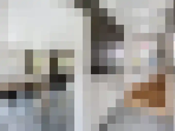 Hogeweg 11 Hoofdplaat thumbnail 5
