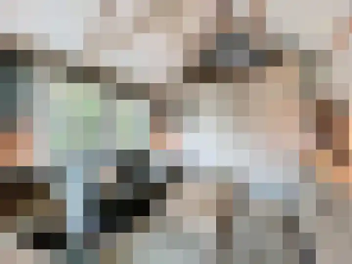 Hogeweg 11 Hoofdplaat thumbnail 6