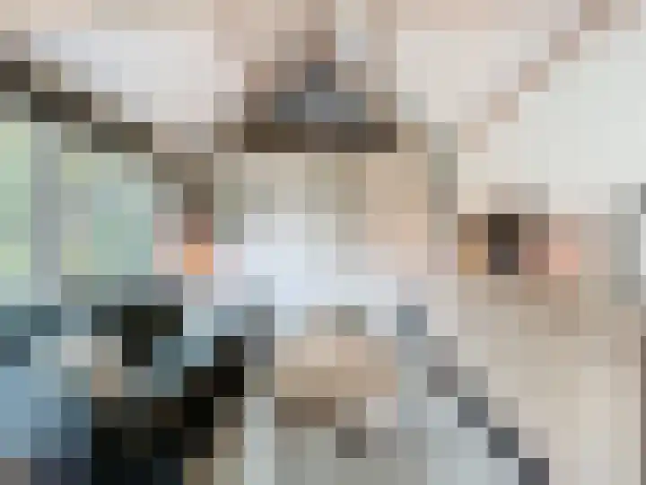 Hogeweg 11 Hoofdplaat thumbnail 7