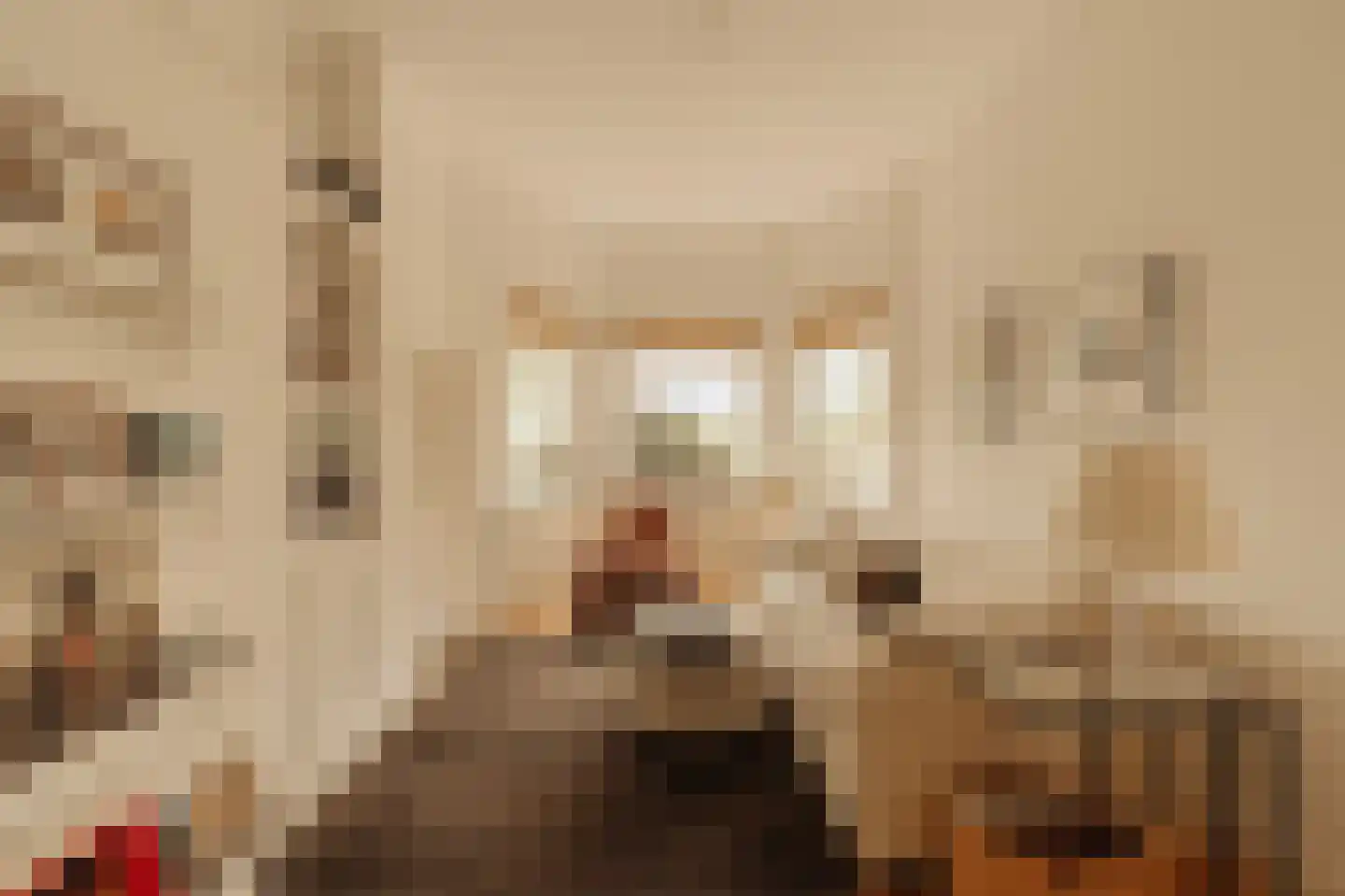 Hogeweg 11 Wassenaar thumbnail 11