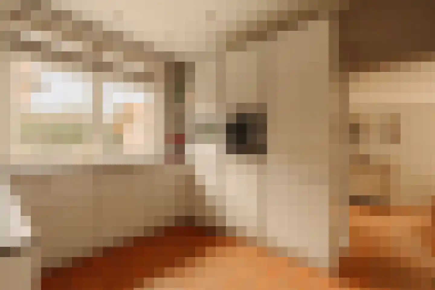 Hogeweg 11 Wassenaar thumbnail 15