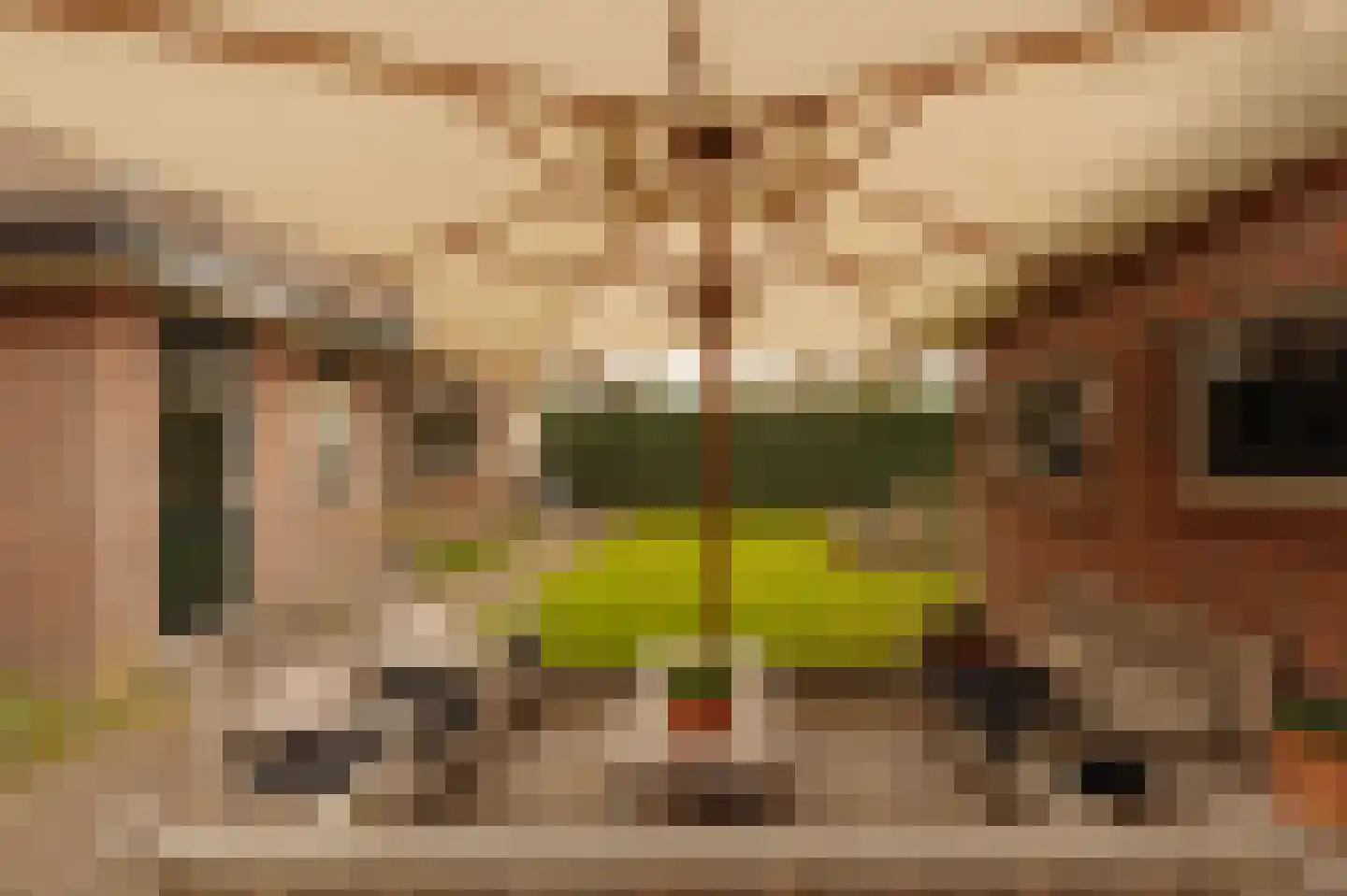 Hogeweg 11 Wassenaar thumbnail 21