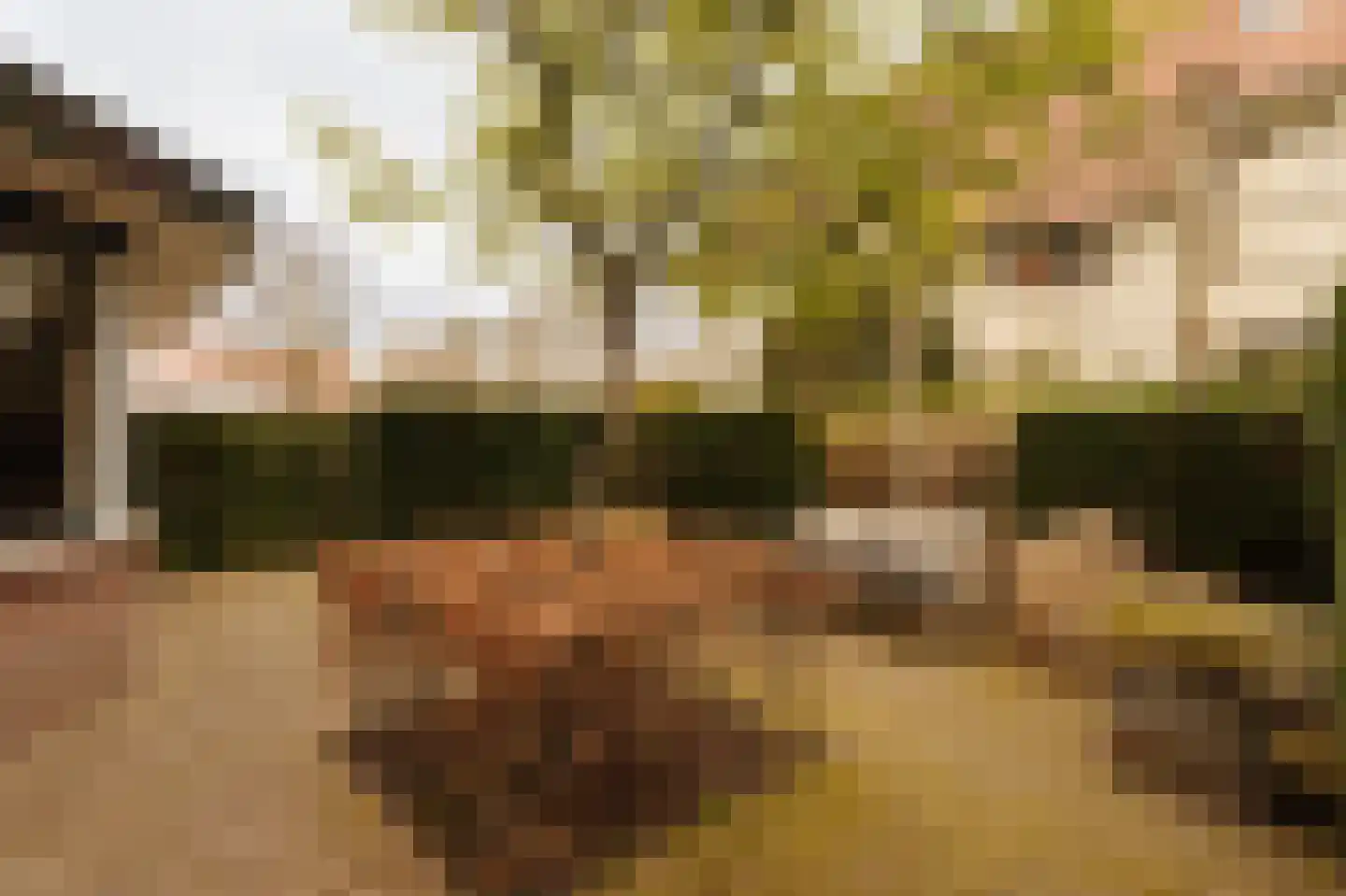 Hogeweg 11 Wassenaar thumbnail 22