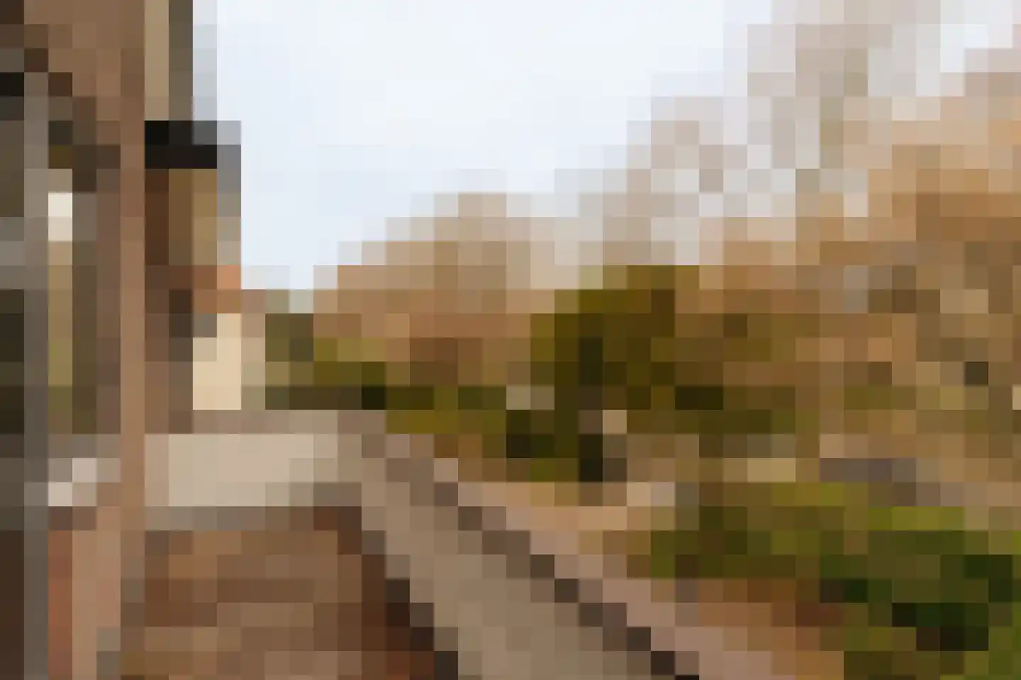 Hogeweg 11 Wassenaar thumbnail 29