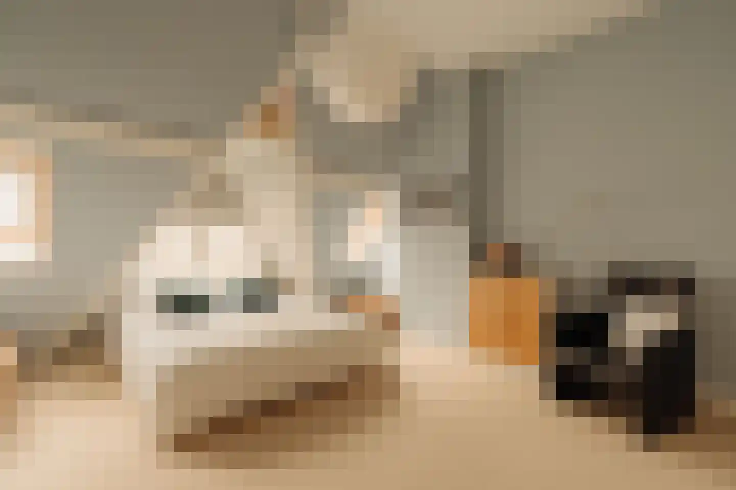 Hogeweg 11 Wassenaar thumbnail 37