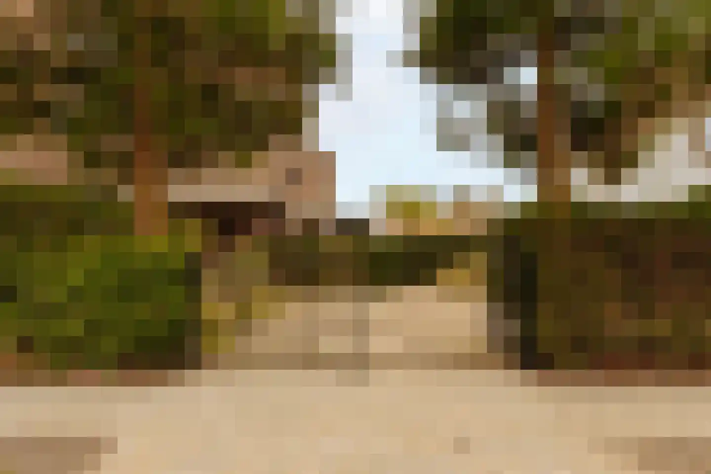 Hogeweg 11 Wassenaar thumbnail 4