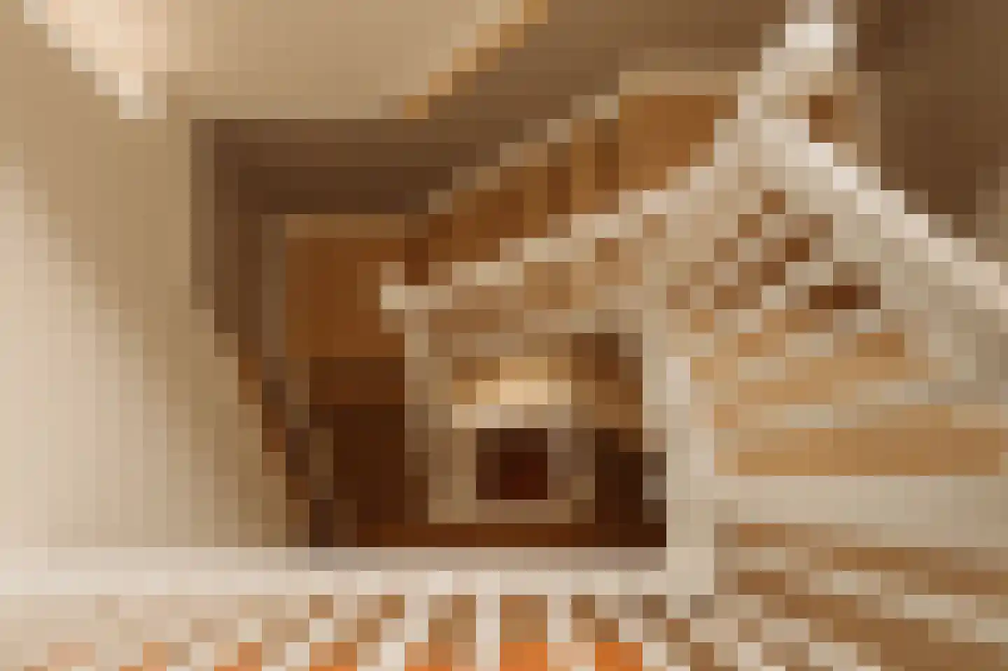 Hogeweg 11 Wassenaar thumbnail 44