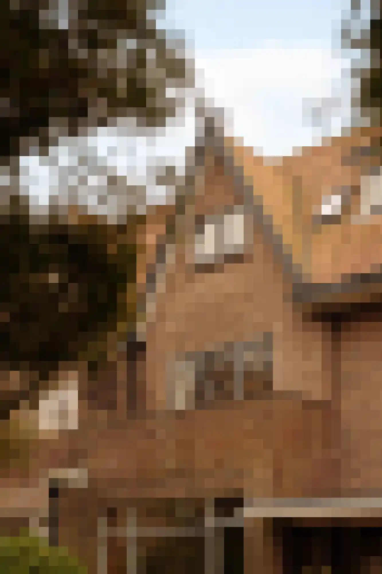 Hogeweg 11 Wassenaar thumbnail 45