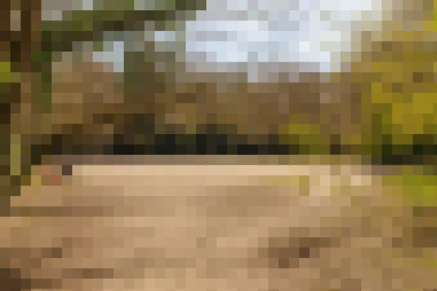 Hogeweg 11 Wassenaar thumbnail 46